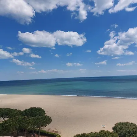 2 Pieces, 4 Pers, Proche Plage, Parking, Animaux Admis - Fr-1-776-125 ארגלס-סור-מר