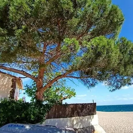 2 Pièces, 4 Pers, Proche Plage, Parking, Animaux Admis